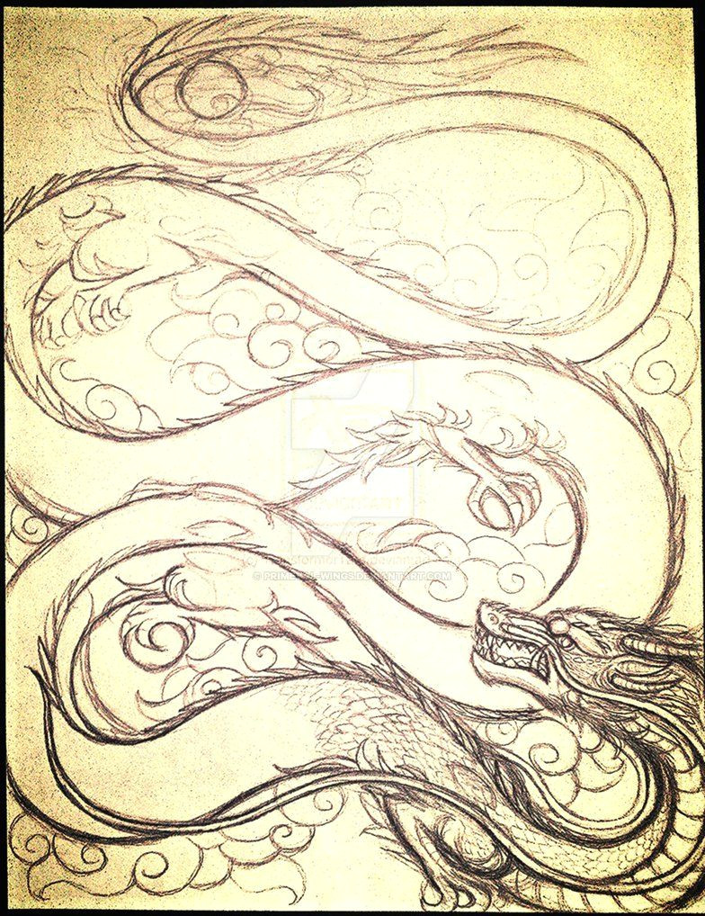 Drawing Chinese Dragons Chinese Dragon Sketch by Primeval Wings Art Inspiration