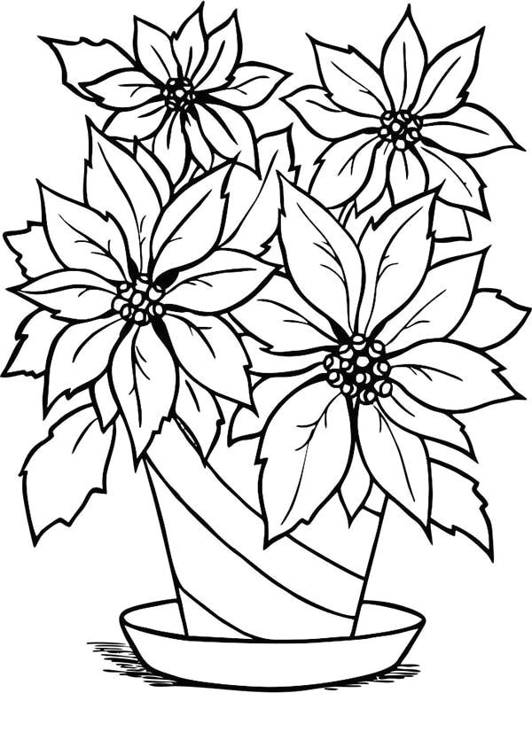 Drawing Christmas Flowers Charming Poinsettia Flower In Flowerpot Coloring Page Fun Coloring