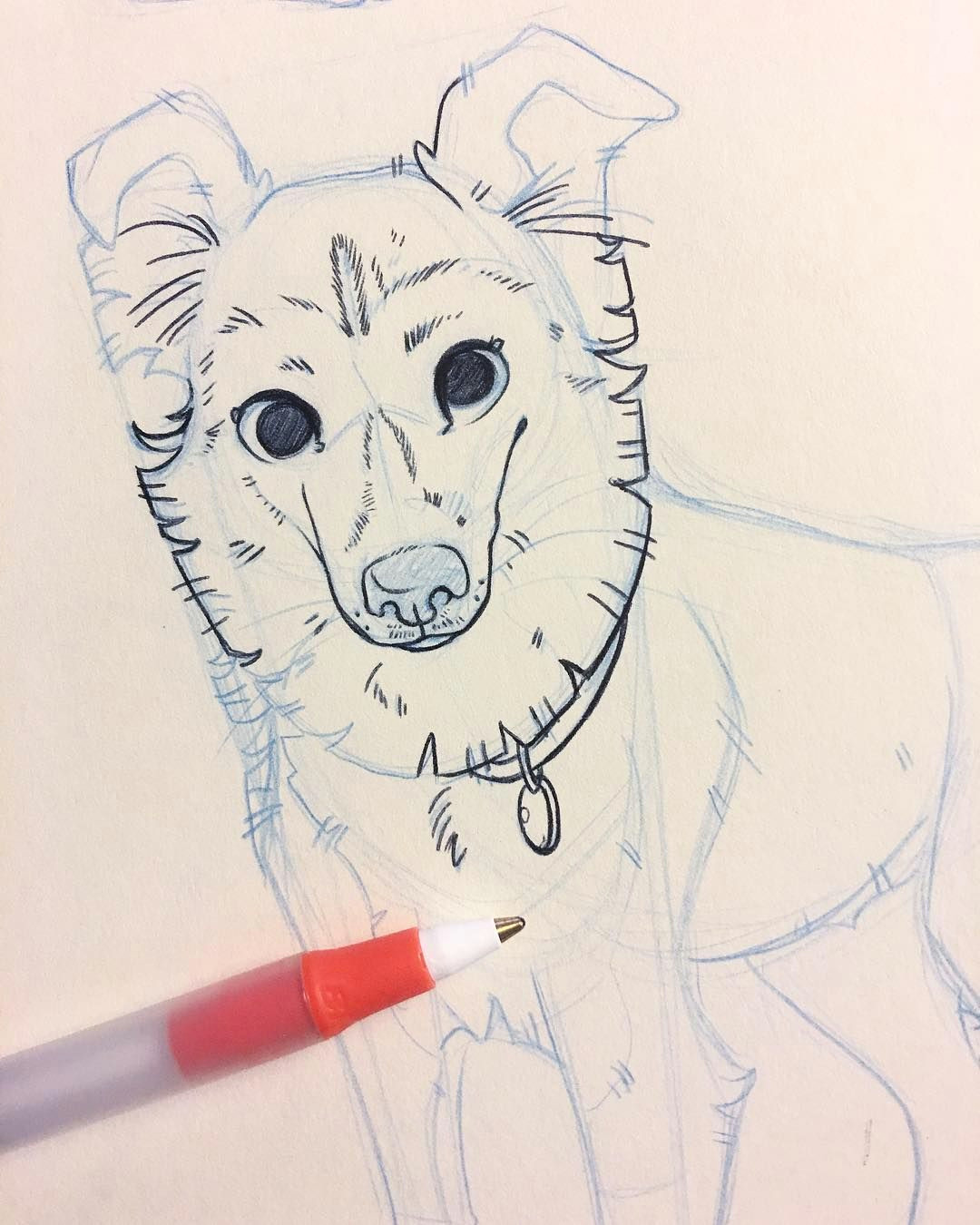 Drawing Comic Dogs Making Up A New Pet Portrait for Salt Lake City Comic Con This One