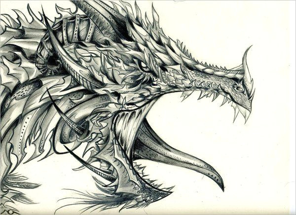 Drawing Cool Dragons Pin by Jessee Robinson On Art Stuff Dragon Drawings Cool Dragon