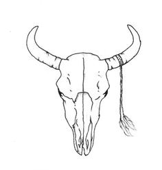 Drawing Cow Skulls 12 Best Skulls and Flowers Images Drawings Bull Skulls Draw