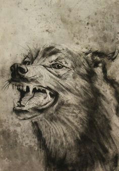 Drawing Creepy Wolf 180 Best Wolf Drawings Images Drawing Techniques Drawing