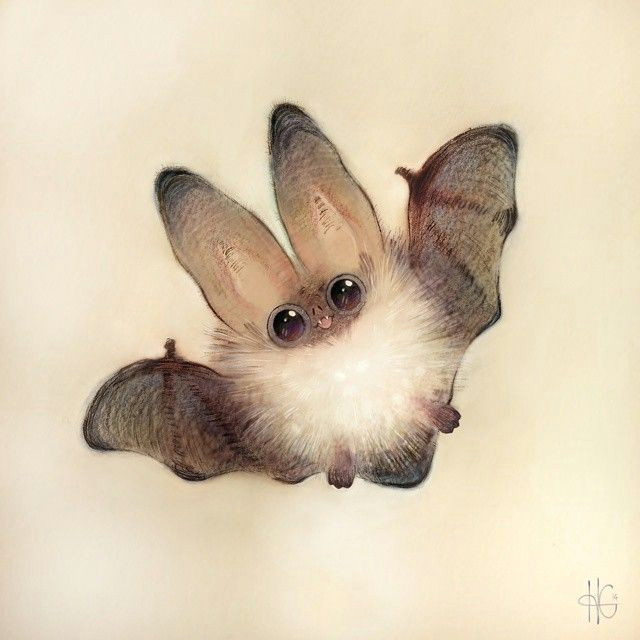 Drawing Cute Bats Morceguinho Fofo Fluffy Bat by Heathersketcheroos Gp Drawings