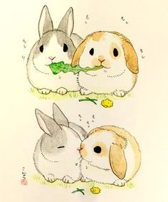 Drawing Cute Easter Bunnies Eat Lettuce Kiss Cute Cute Drawings Cute Illustration