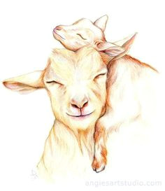 Drawing Cute Goat 170 Best Goat Drawings A Images In 2019 Goats Goat Art Animal