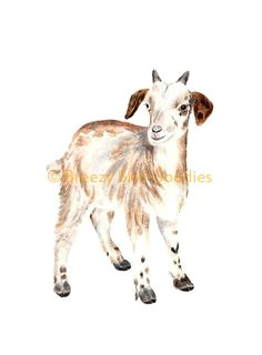 Drawing Cute Goat 170 Best Goat Drawings A Images In 2019 Goats Goat Art Animal