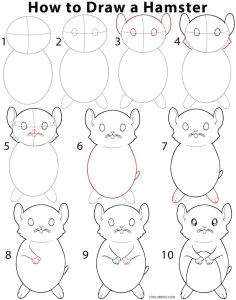 Drawing Cute Hamster 13 Best Draw Hamsters Images Drawing Tutorials Easy Drawings