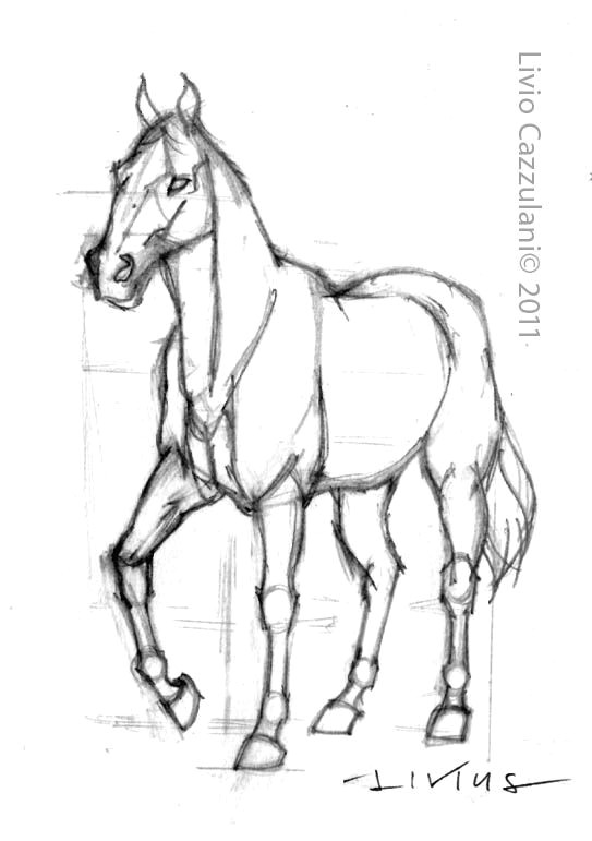 Drawing Cute Horses Horse Drawing Google Search Horse Art Pinterest Horse