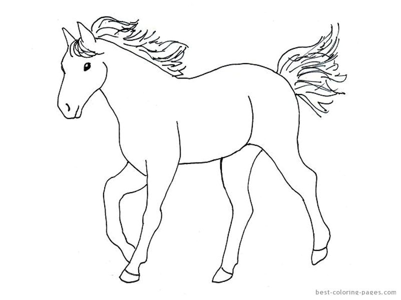 Drawing Cute Horses Simple Horse Drawings for Kids Images Pictures Becuo for Remi