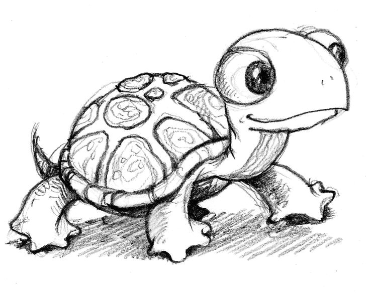 Drawing Cute Little Baby Animals Cute Little Anime Turtle Google Search Baby Animals Drawings