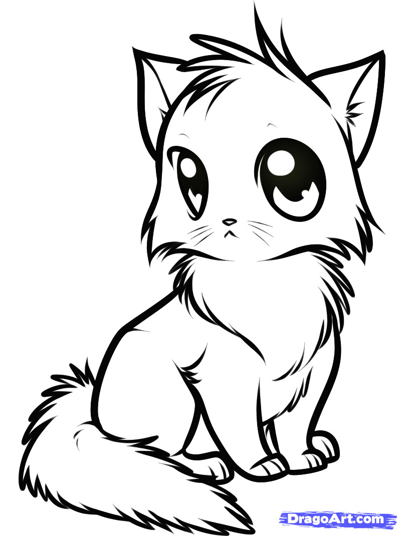 Drawing Cute Little Baby Animals Draw A Cute Anime Cat Step by Step Drawing Sheets Added by Dawn