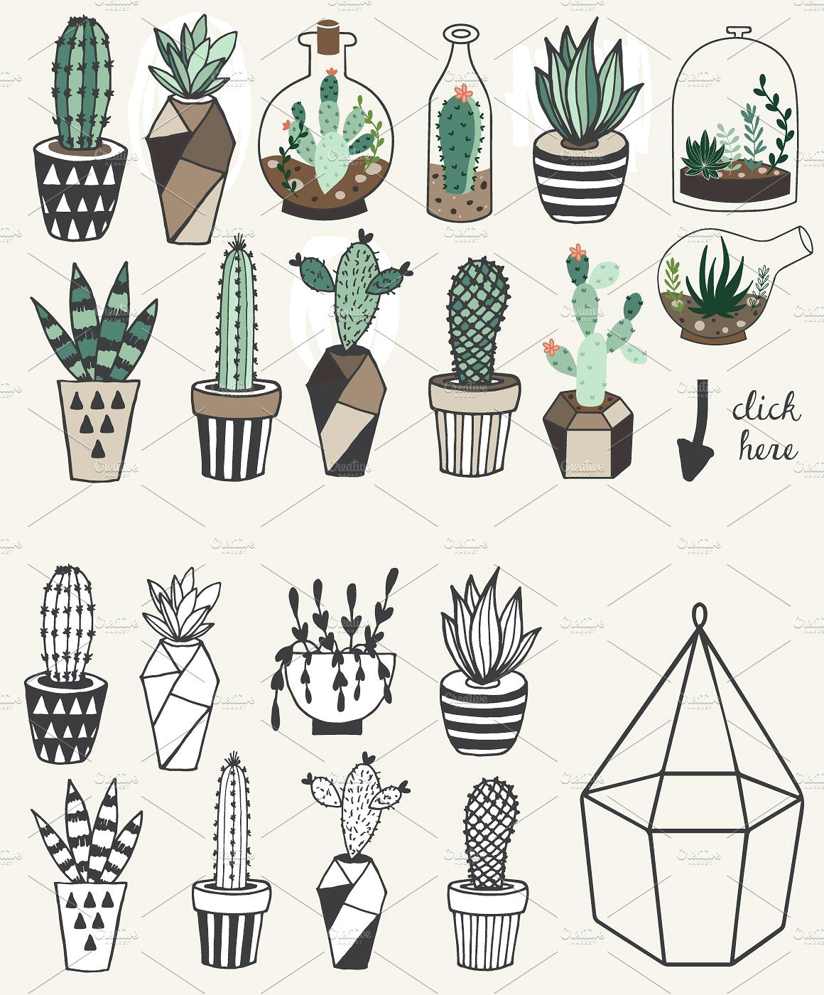 Drawing Cute Plants 75 Off Succulents Unlimited License by Lokko Studio On