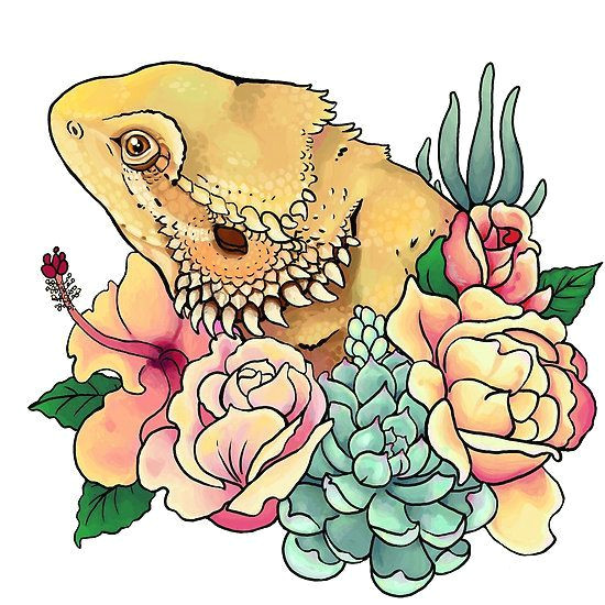 Drawing Cute Plants Image Result for Cute Bearded Dragon Drawing Beardeddragonideas