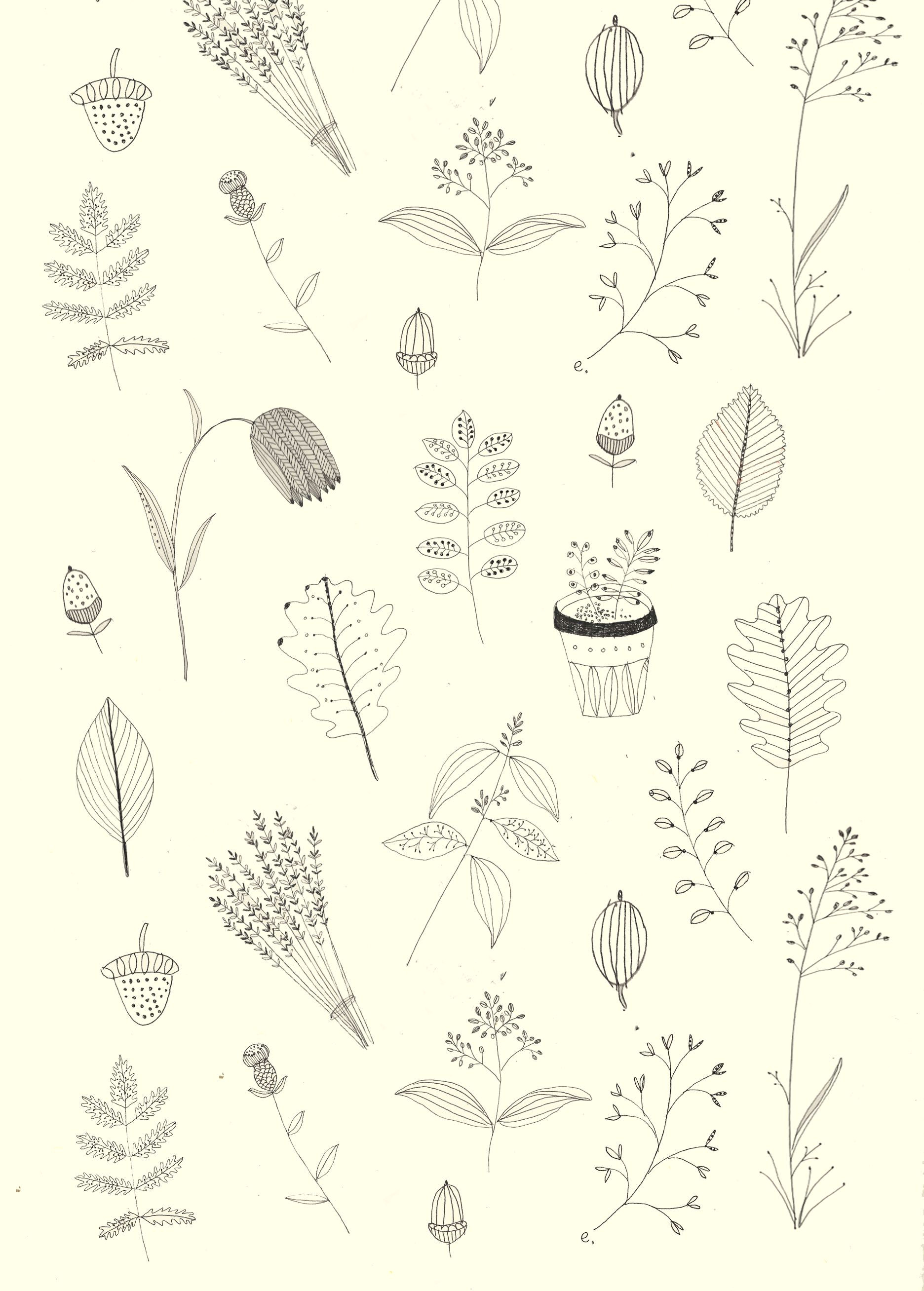 Drawing Cute Plants Katt Frank Wallpaper C E Ae A E Pinterest Wallpaper