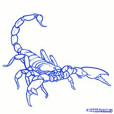 Drawing Cute Scorpion 114 Best Scorpion Images Scorpio Tattoos Scorpion Tattoos Tattoo