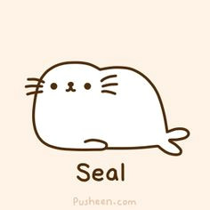 Drawing Cute Seal 92 Best Painted Rocks Images Draw Drawings Baby Seal