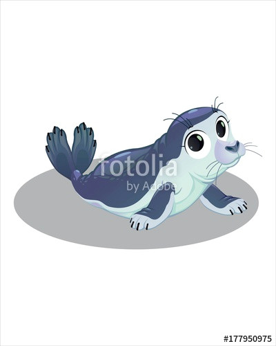 Drawing Cute Seal Cute Little Seal Vector Drawing isolated White Background Stock