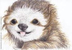 Drawing Cute Sloth 50 Best Drawing Sloths Images Sloths Cute Sloth Drawings