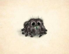 Drawing Cute Spider 26 Best Spider Drawing Images Amazing Tattoos Drawings 3d Spider