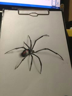 Drawing Cute Spider 26 Best Spider Drawing Images Amazing Tattoos Drawings 3d Spider