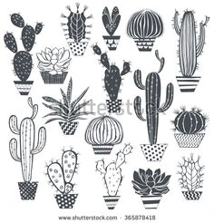 Drawing Cute Succulents 21 Best Succulent Sketch Images Cactus Drawing Cactus Plants