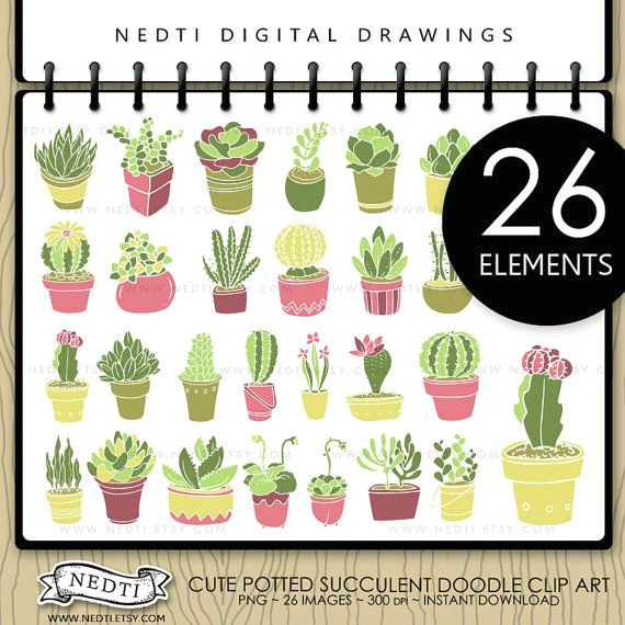 Drawing Cute Succulents Potted Succulent Hand Drawn Clip Art Cactus Digital by Nedti Etsy