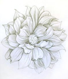 Drawing Dahlia Flowers 273 Best Dahlia Tattoo Images Awesome Tattoos Coolest Tattoo