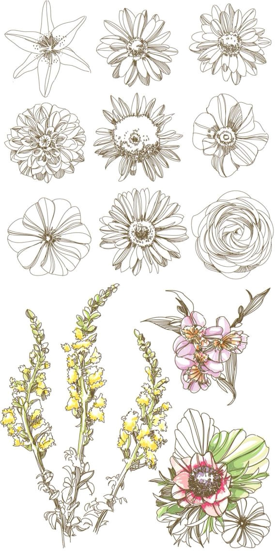 Drawing Daisy Flowers Pin by Aakira On Flower Drawings Art Tattoos