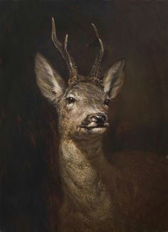 Drawing Deer Eyes 222 Best Deer Images In 2019 Deer Illustrations Painting Drawing