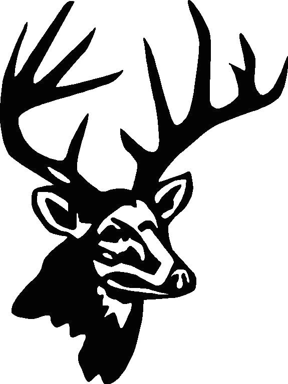 Drawing Deer Eyes Deer Hunting Logos 2003 Hunting Plastic Canvas Designs Hunting