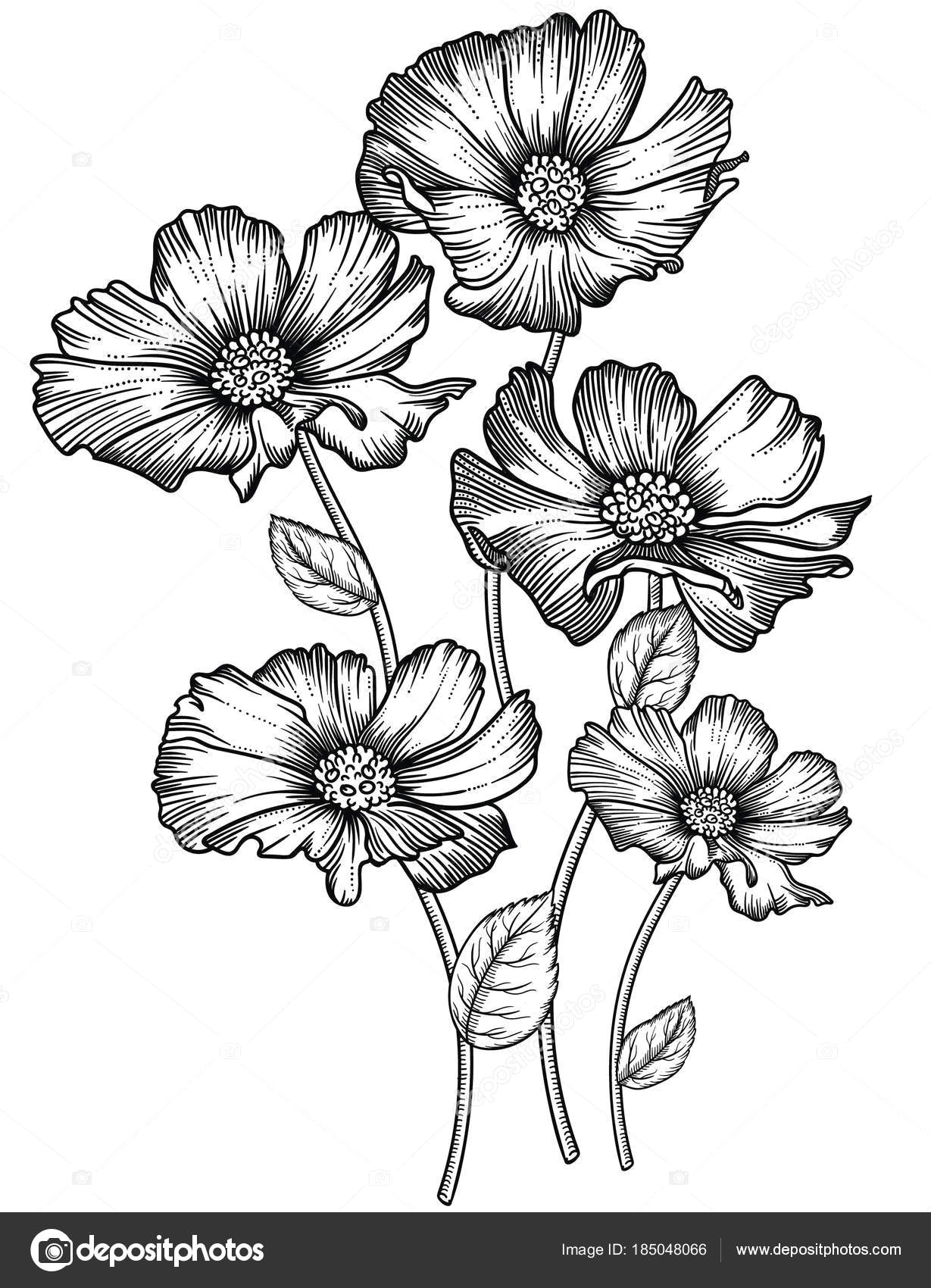 Drawing Detailed Flowers Blooming forest Flowers Detailed Hand Drawn Vector Illustration