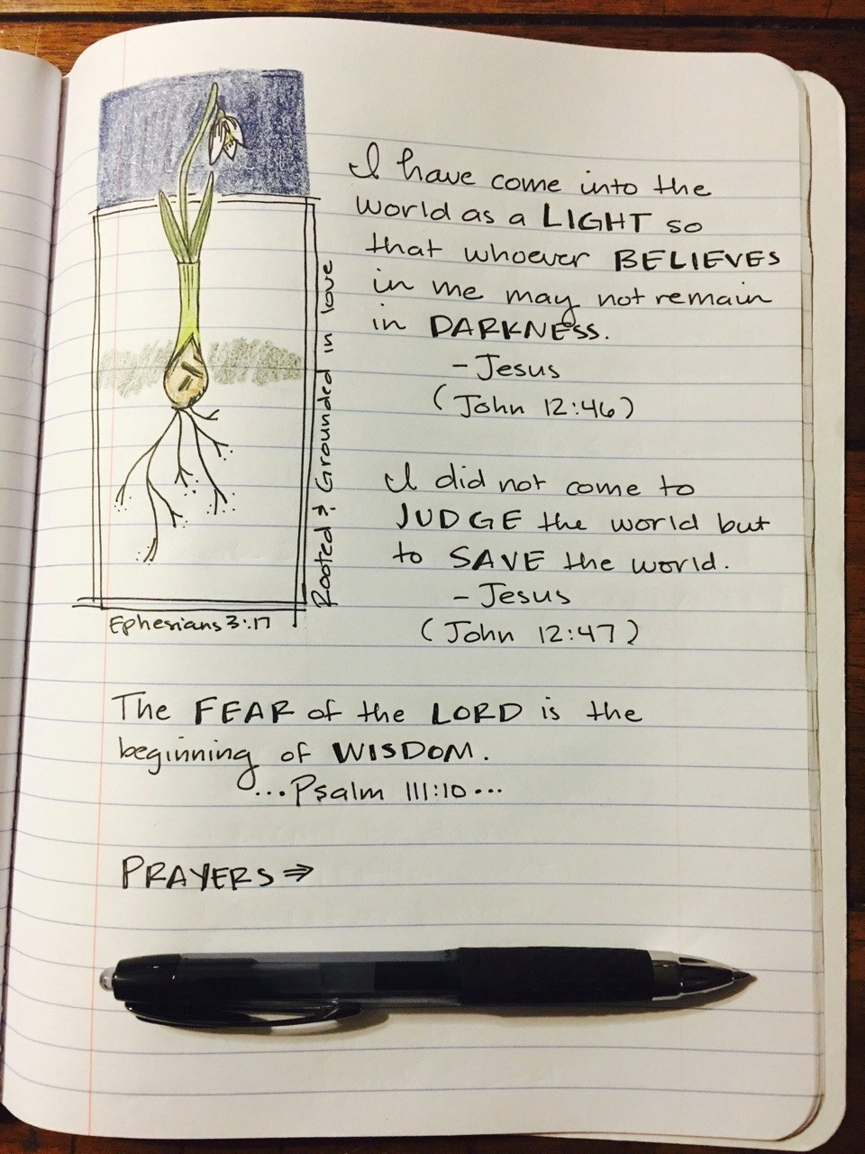 Drawing Diary Tumblr the Bible Journal Project the Culture Test