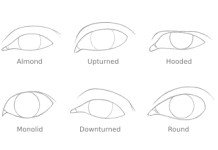 Drawing Different Eye Shapes How to Draw A Pair Of Realistic Eyes Rapidfireart