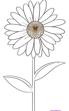 Drawing Different Flowers 100 Best How to Draw Tutorials Flowers Images Drawing Techniques