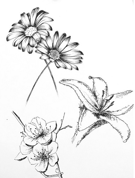 Drawing Different Flowers Small Flower Tattoo Cute Fine Line Watercolor Unique Different Girly