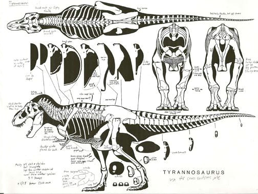 Drawing Dinosaurs Tumblr Pin by Caitlin soliman On Dino Gram Anat Prehistoric Animals