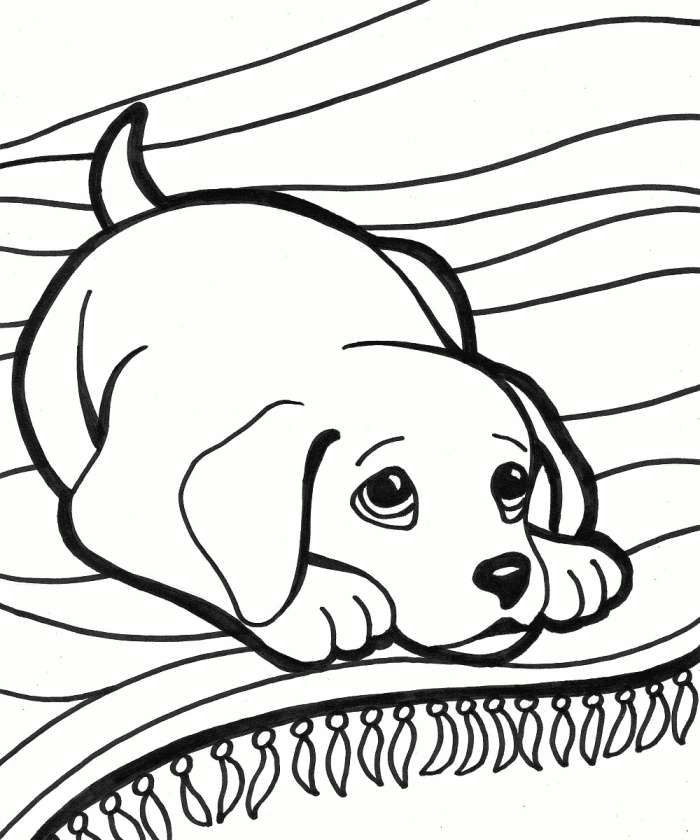 Drawing Dog Colour iPhone Coloring Page Lovely Drawing for Children Luxury Color Page
