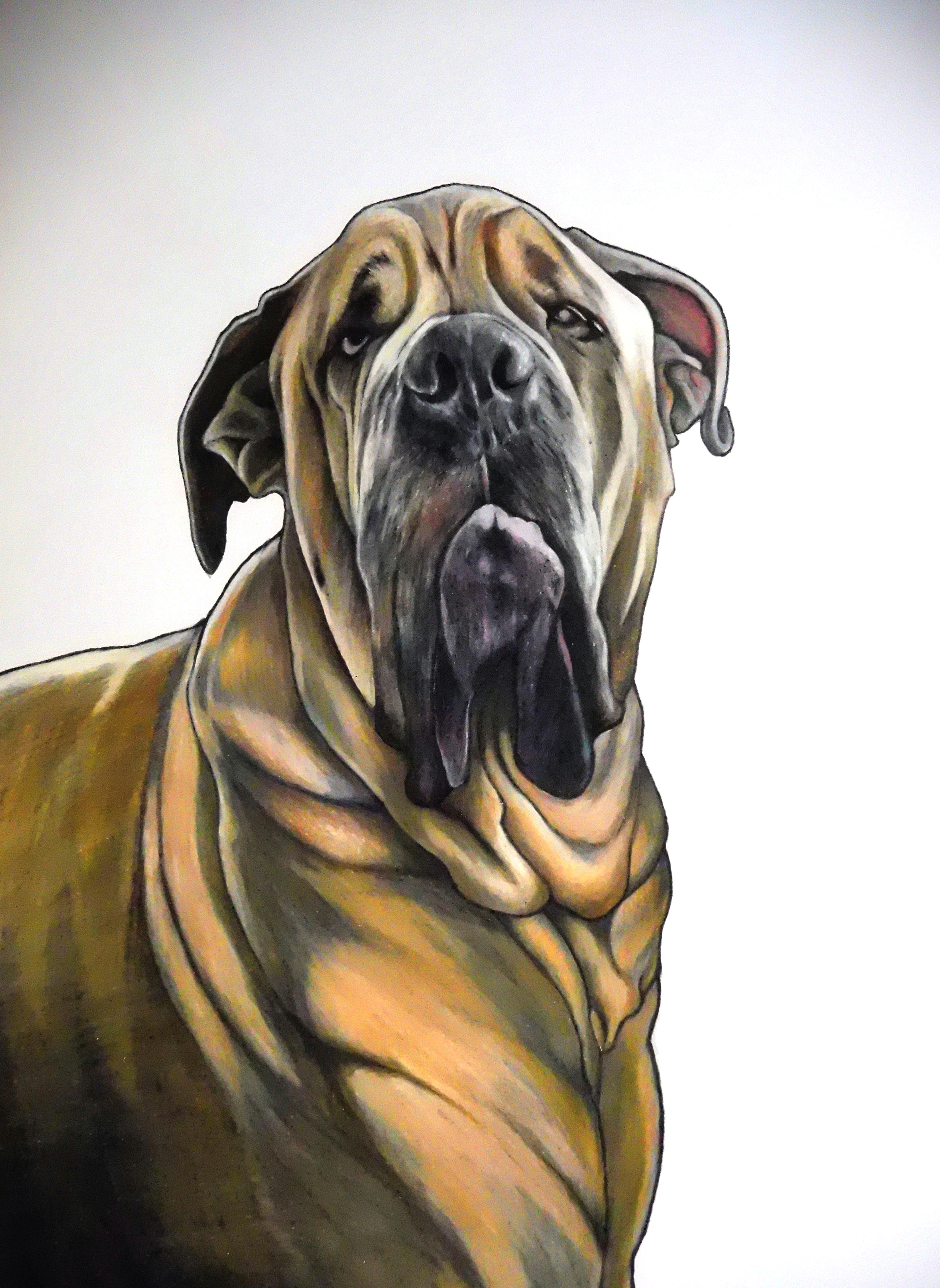 Drawing Dog Colour Pin by Sue Sayne Trimble On Artwork Pinterest Pet Portraits