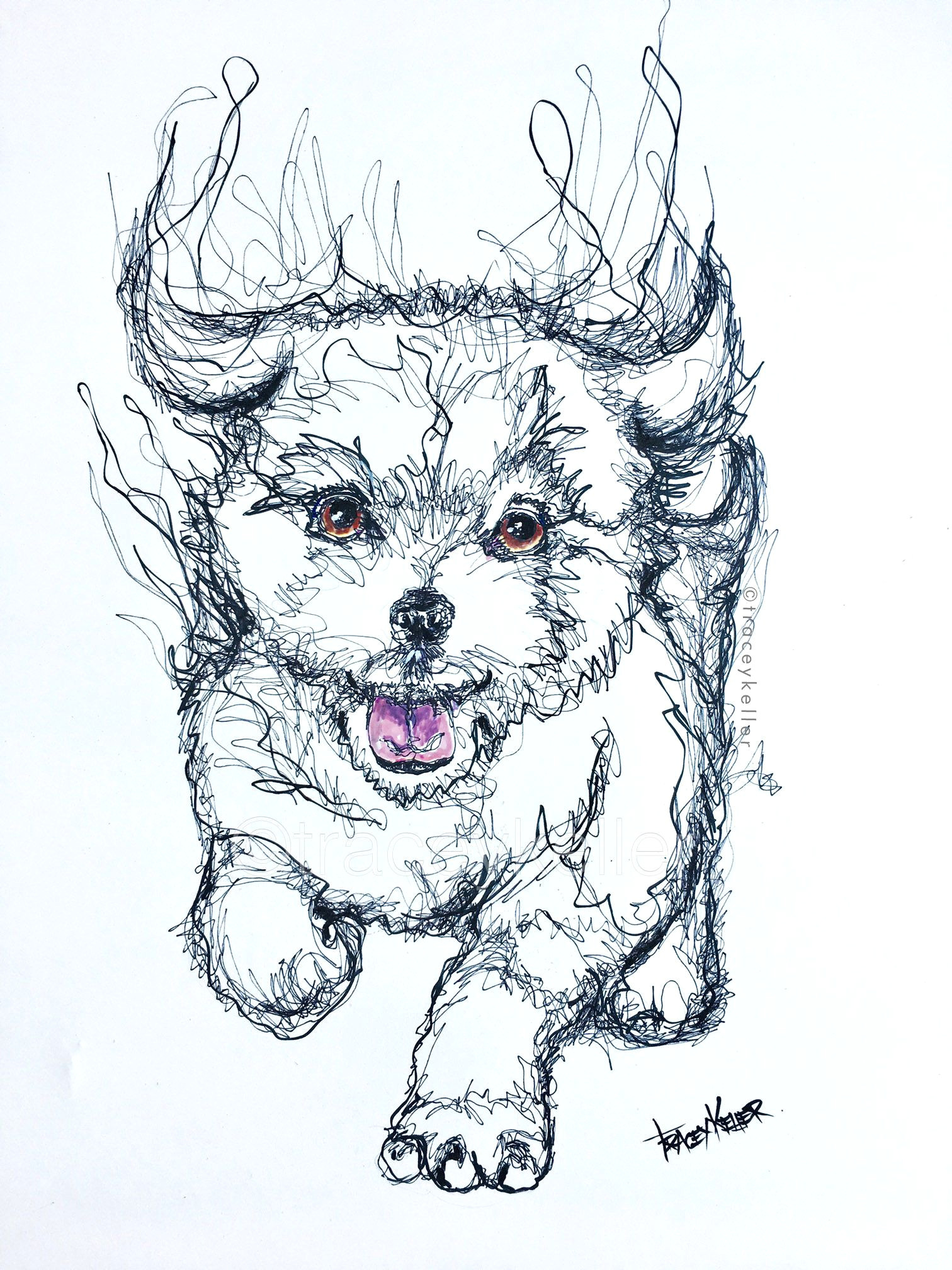 Drawing Dog Doodle Fluffy Puppy Tracey Keller Sketch Doodle Pet Doodle Pinterest