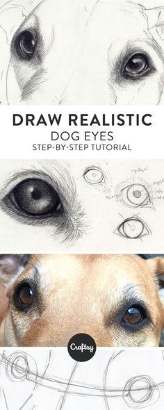 Drawing Dog Eyes Step by Step 101 Best Drawings Of Dogs Images Pencil Drawings Pencil Art