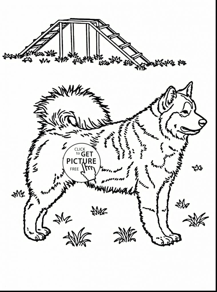 Drawing Dog for Dogs Beautiful Coloring Pages Fresh Https I Pinimg 736x 0d 98 6f for Dog