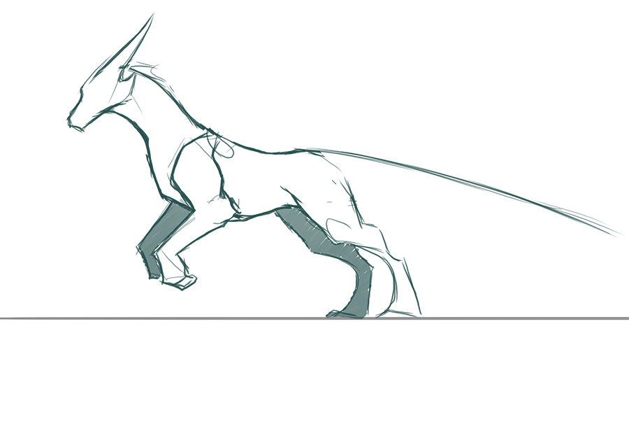 Drawing Dog Gif Omg Such Good Reference I Love It I Don T Own Draw Animal