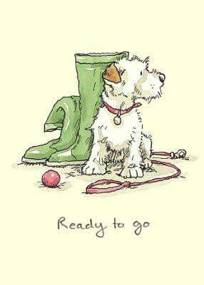 Drawing Dog Go Pin by Jazmin Gonzalez On Illustrations Anita Jeram Dog Art Dogs