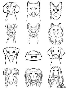 Drawing Dog Hair 101 Best Drawings Of Dogs Images Pencil Drawings Pencil Art