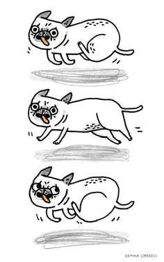 Drawing Dog Hair 120 Best Drawing Dog Images Cute Drawings Kawaii Drawings Doggies