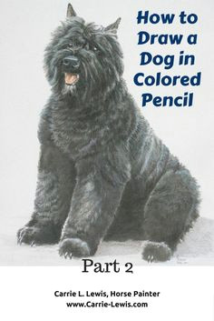 Drawing Dog Hair with Colored Pencils How to Color Hair with Colored Pencils Part 2 Dark Art Ala Carte