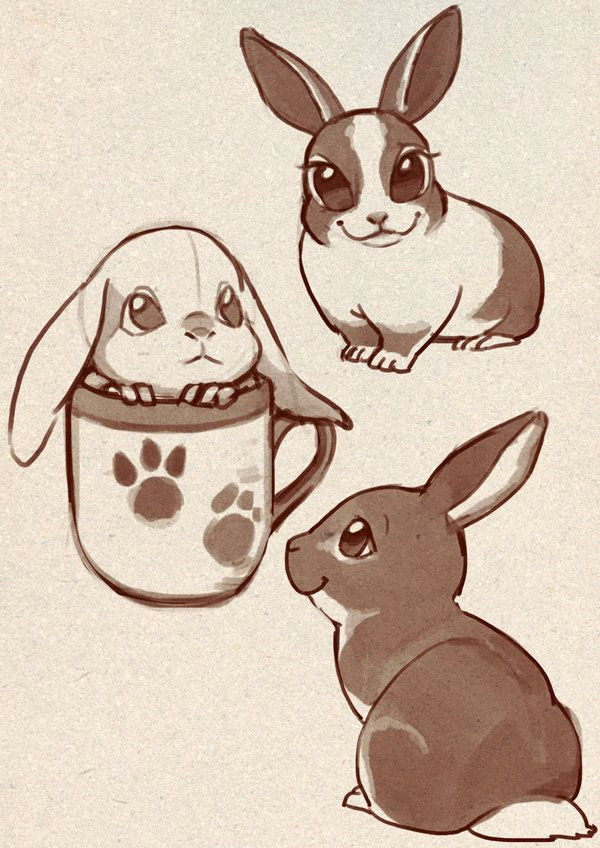 Drawing Dog Legs I Like A Dog which Have Short Legs Rabbit Things In 2019 Rabbit