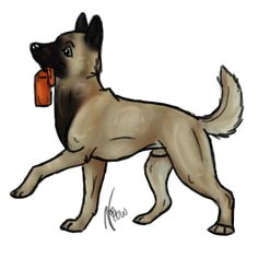 Drawing Dog Malinois 130 Best Maligator Mania Images Belgian Malinois Belgium Malinois