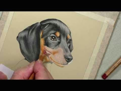 Drawing Dog Muzzle Drawing A Dachshund Mouth Muzzle Youtube Drawing and Painting