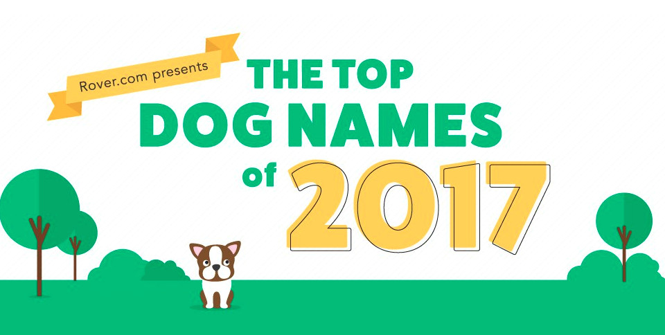 Drawing Dog Names top Dog Names top 100 Male and Female Dog Names
